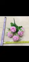 Throw the No. 2 ball chrysanthemum five times Specification image
